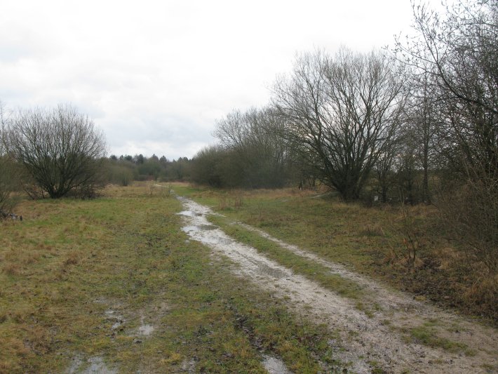 This is where the grandstand used to be